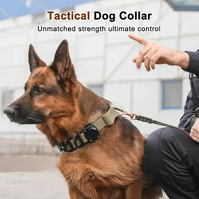 Tactical Dog Collar 2