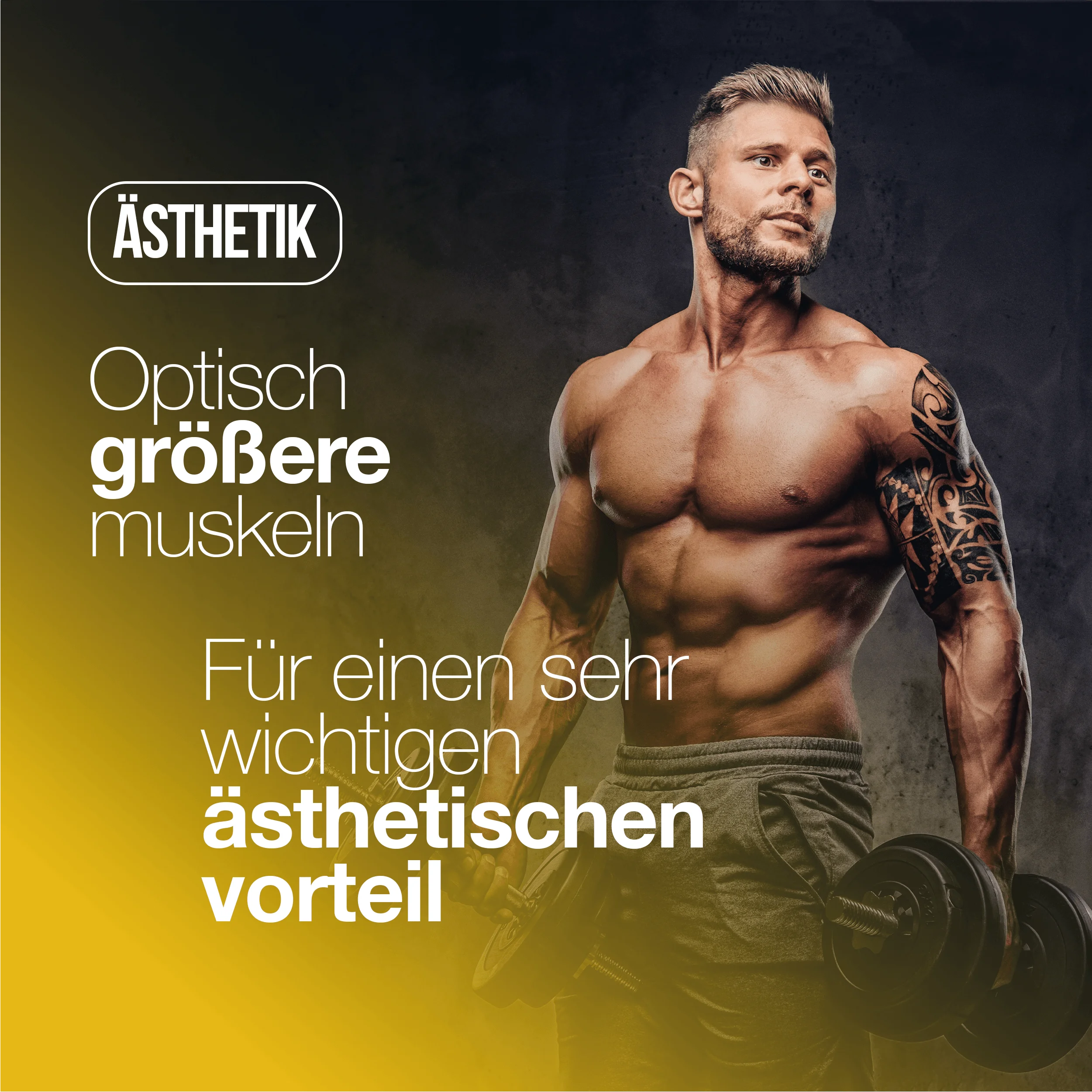 Kreatin-Monohydrat-Tabletten 3000mg Kapsel-Alternative 120 Vegane Kapseln Mikronisierte Formel 4