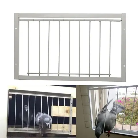 Taubenfalle Tür
