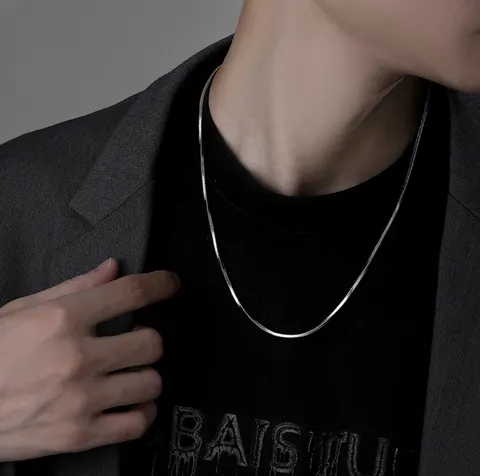Niche Square Men's Titanium Steel Snake Chain Necklace