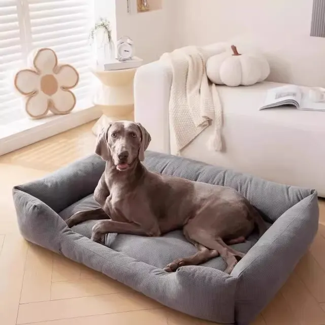 Scratch And Bite Resistant Removable Washable Four Seasons 1