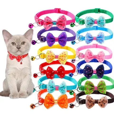Haustierhalsband