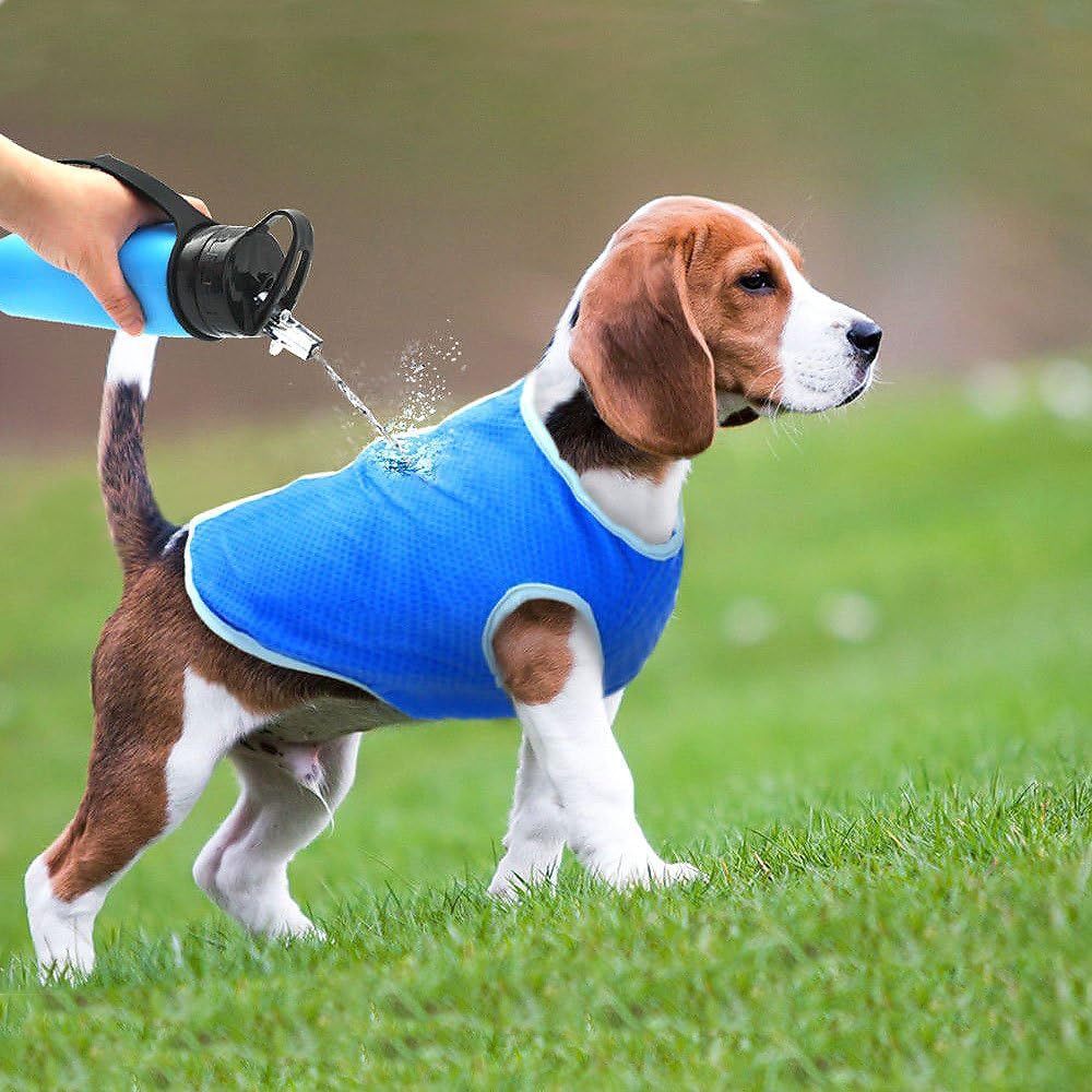 Cooling Vest for Dogs and Cats 4