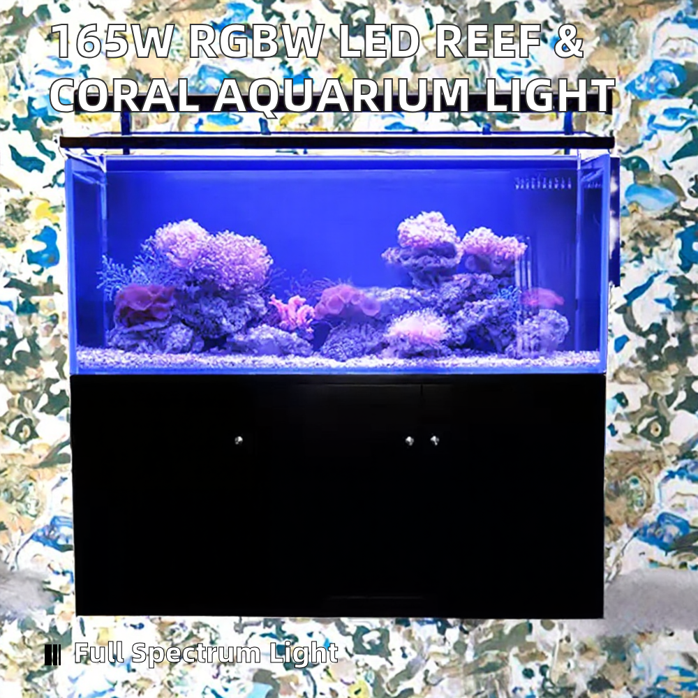 Riff-Aquarienlicht 2