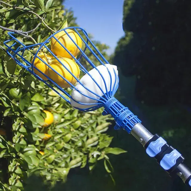 Fruit Picker 4