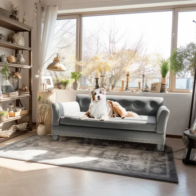 Elevated Dog Bed 2