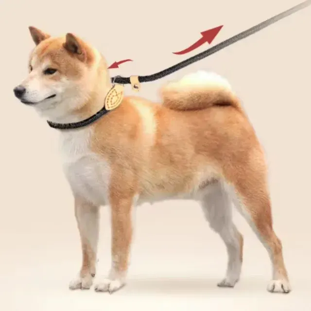 Hundegeschirr 2