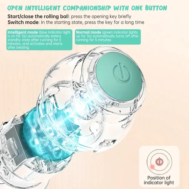 Interactive Cat Toy 4