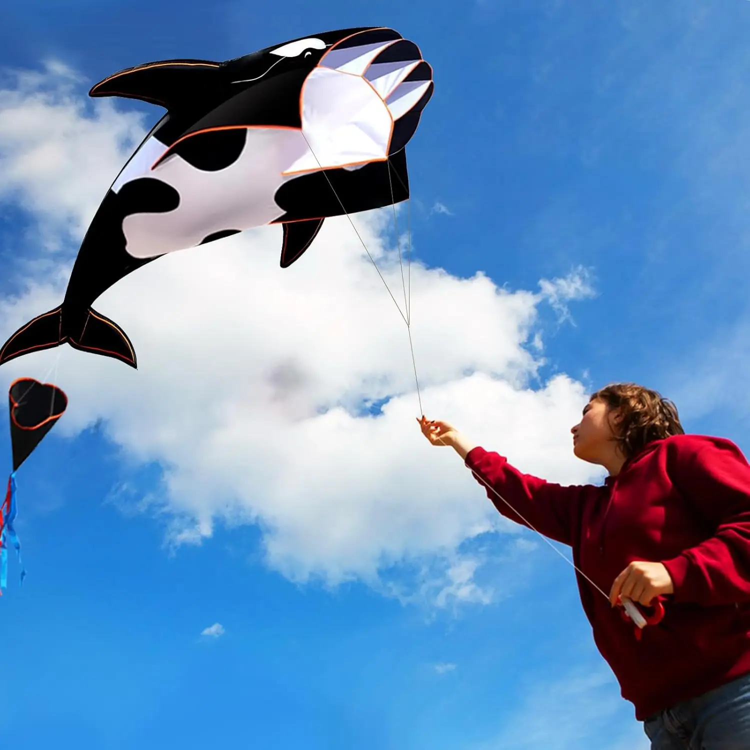 57-Inch Single-Line Dolphin Kite 2