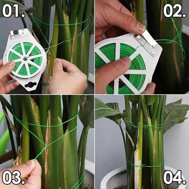 Plant Tie 2