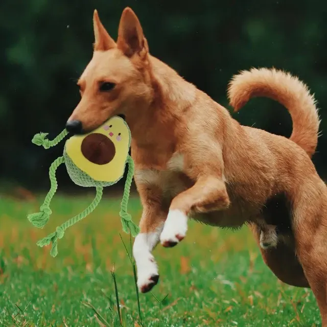 Oktopus-Quietschspielzeug für Katzen 3