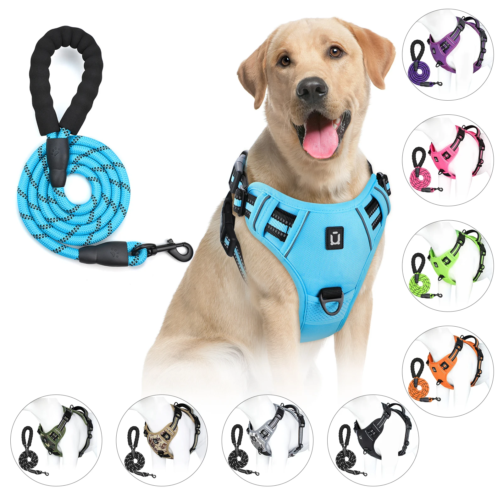 Hundegeschirr mit Leine