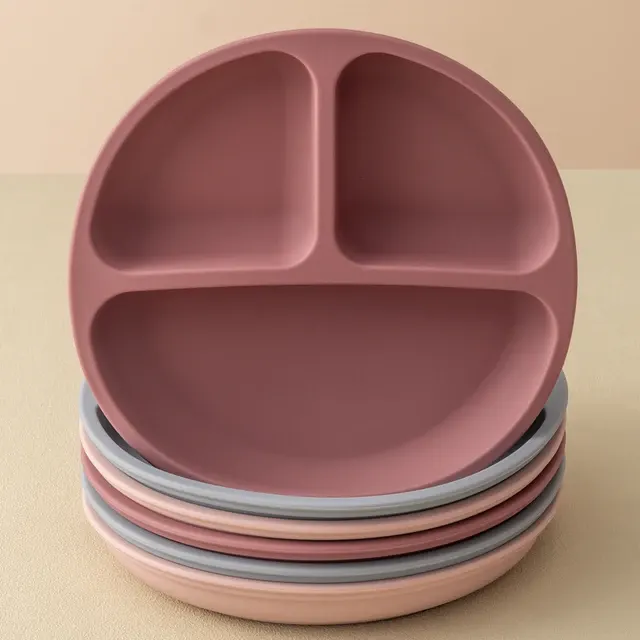 Silicone Suction Cup Plate 1