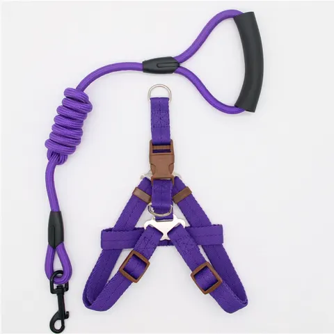 Dog Leash