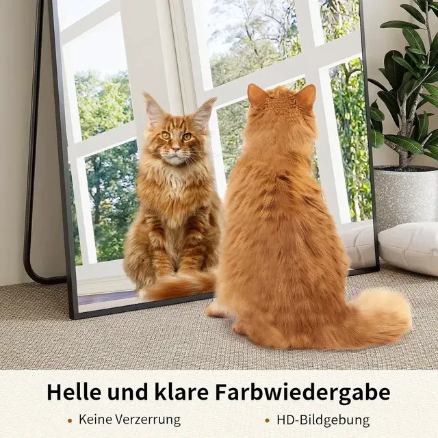 Ganzkörperspiegel 4