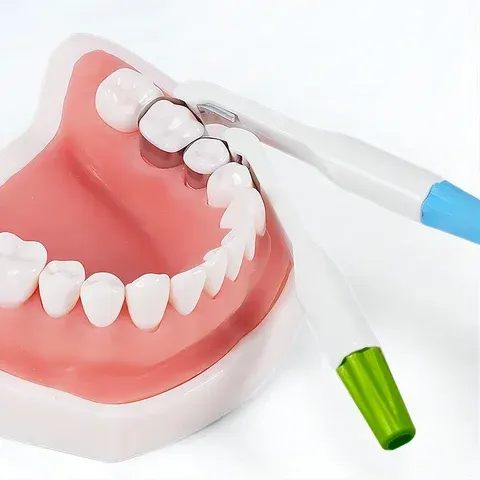 Dental Matrix Band
