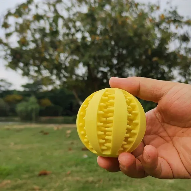 Dog Ball Toy 3