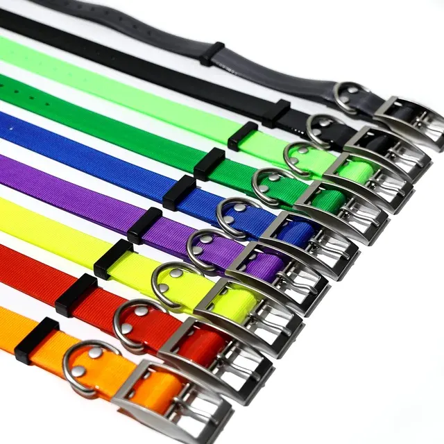 Dog Collar 4