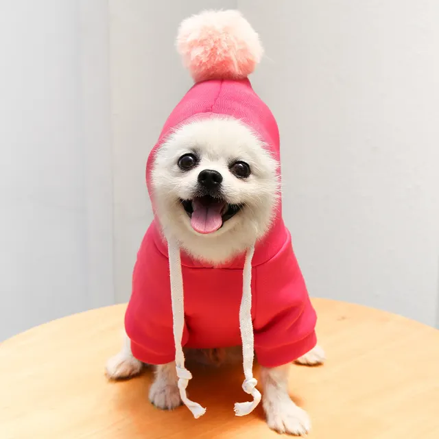 Hunde- und Katzenpullover 2