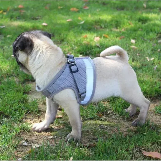 Hundegeschirr Weste 4