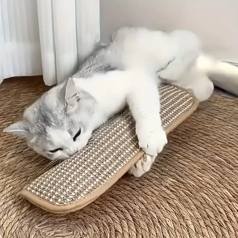 Cat Scratch Mat with Play Pillow