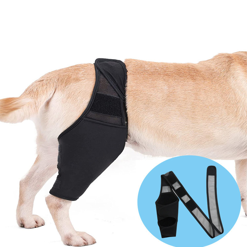 Hunde-Kniebandage