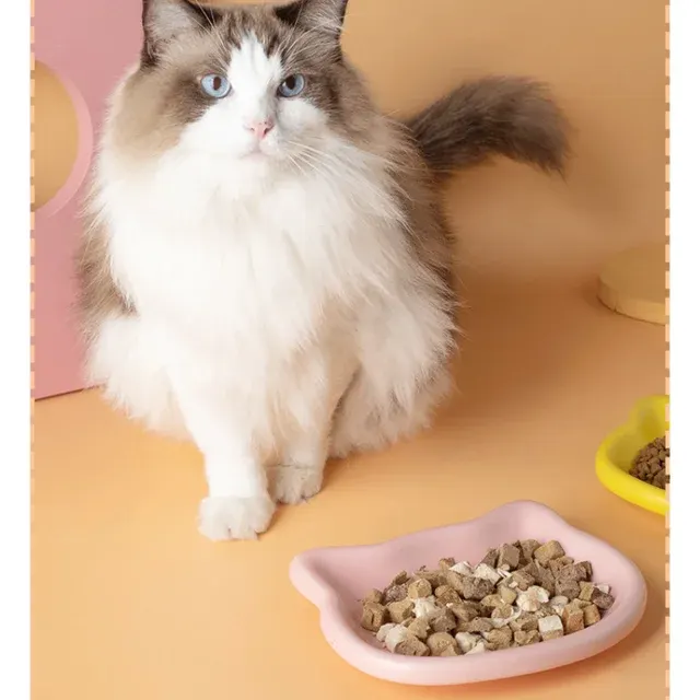 Non-Slip Cat Bowl 4