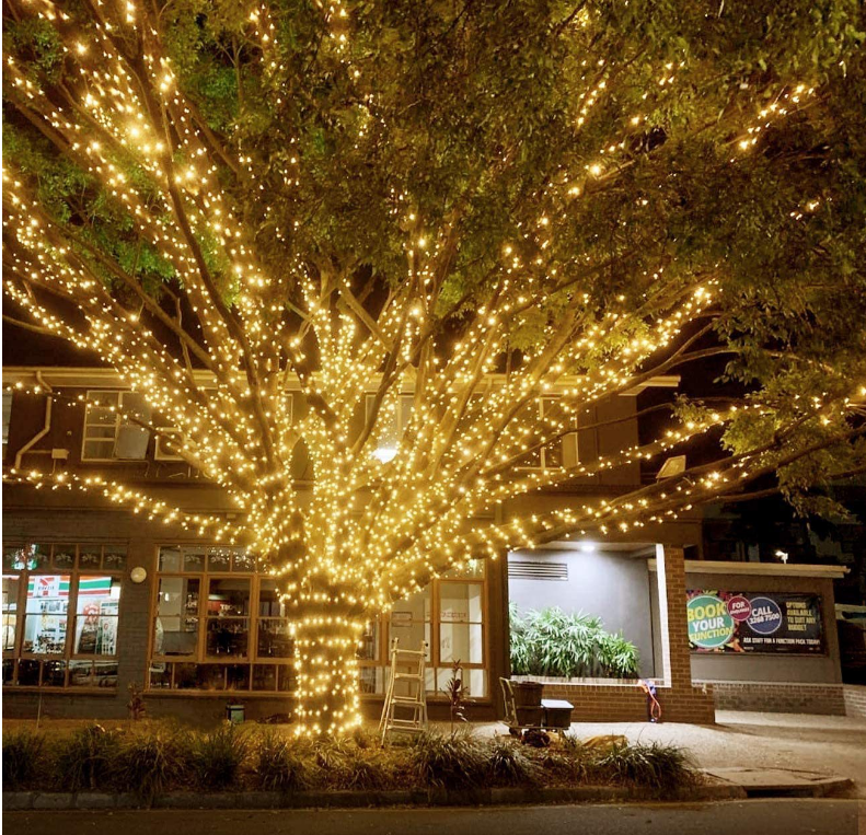 Outdoor Patio Garden Waterproof Solar String Lights 50L