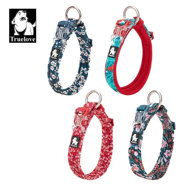 Hundehalsband 3