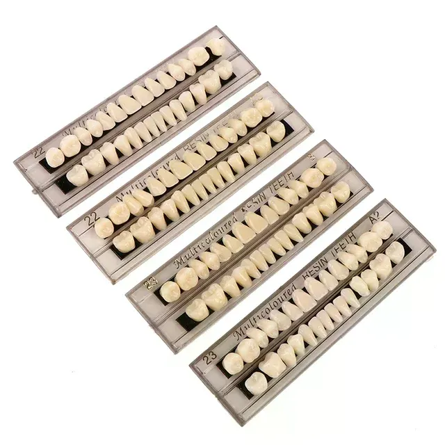 Artificial Teeth Set 2