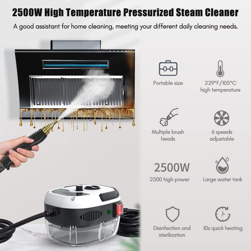 110V 220V 2500W Portable Handheld Steam Cleaner High 3