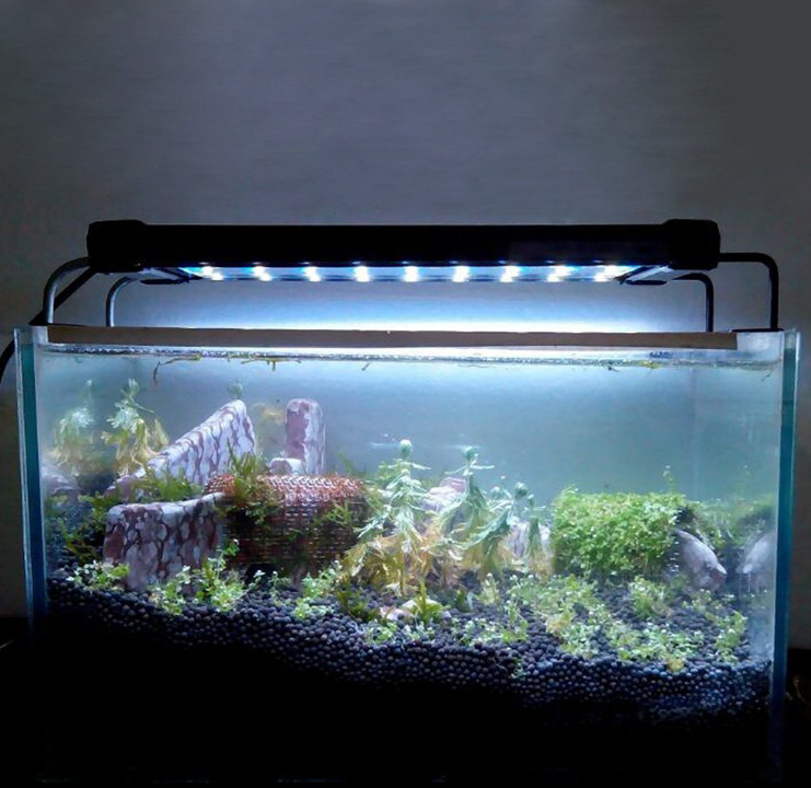 LED Aquarienlampe für Süßwasserfische
