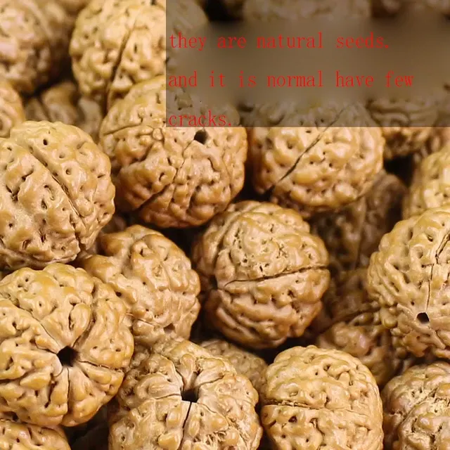 Vajra Bodhi Seed Beads 2