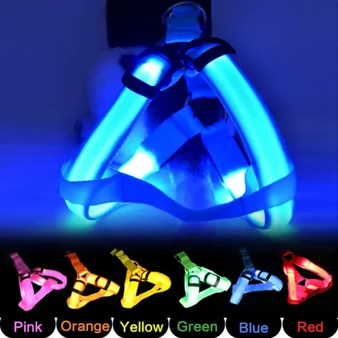 LED Dog Collar