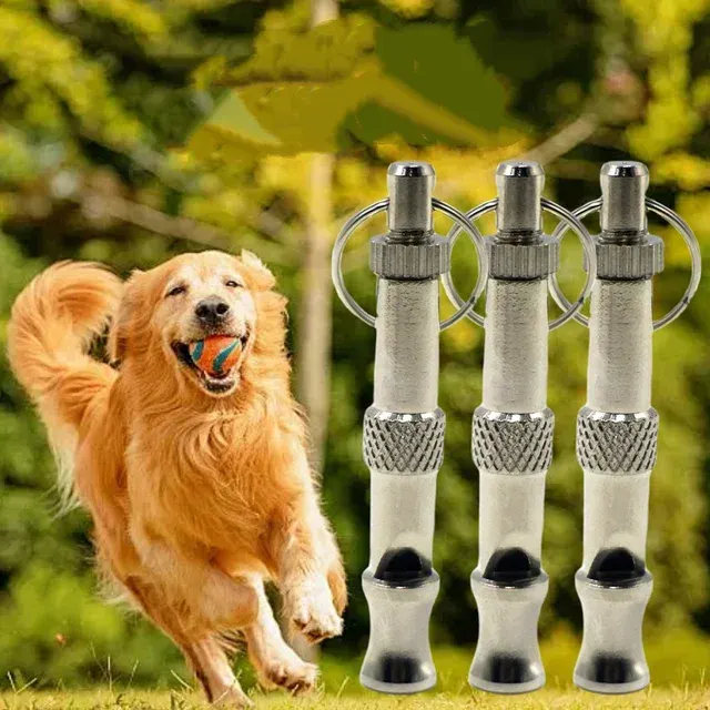 Ultrasonic Dog Whistle 2