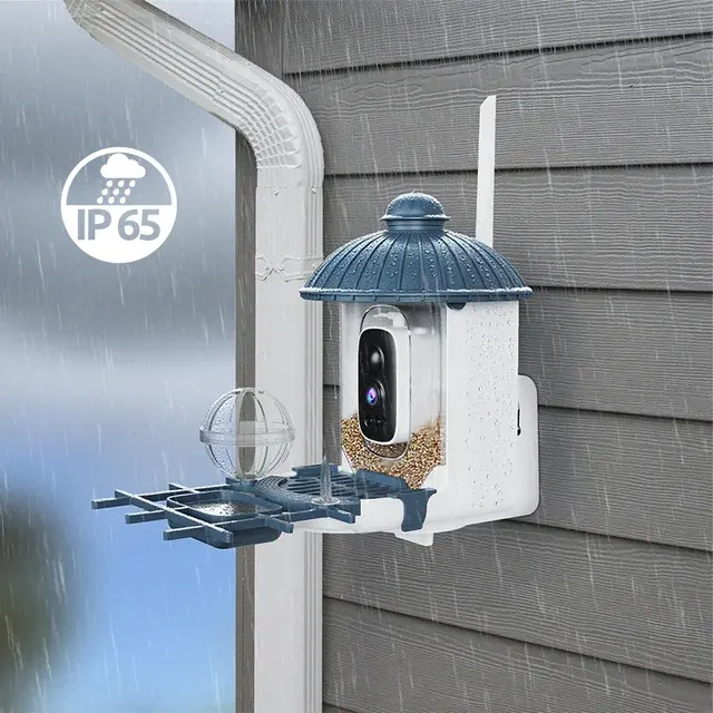 Bird Feeder Camera 2