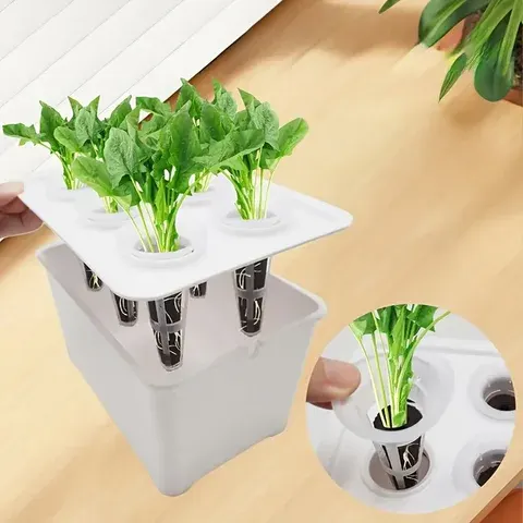 Hydroponic Propagation Box
