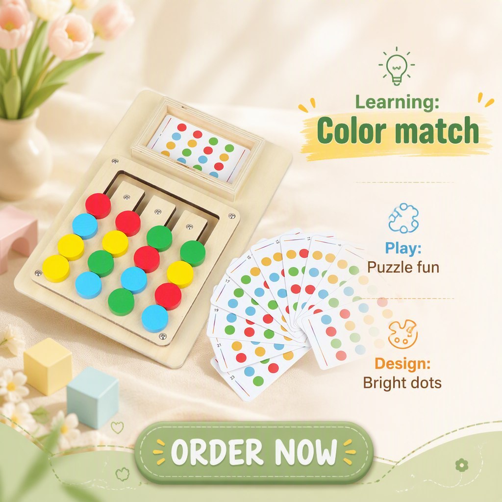 Montessori Color Matching Puzzle Game 3