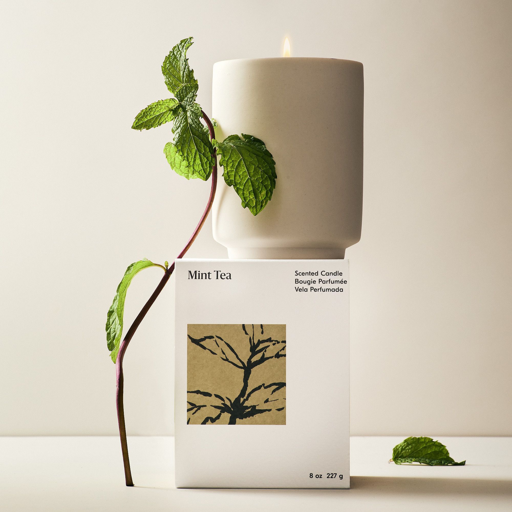 Matte White Porcelain Sandalwood Candle Holder 2