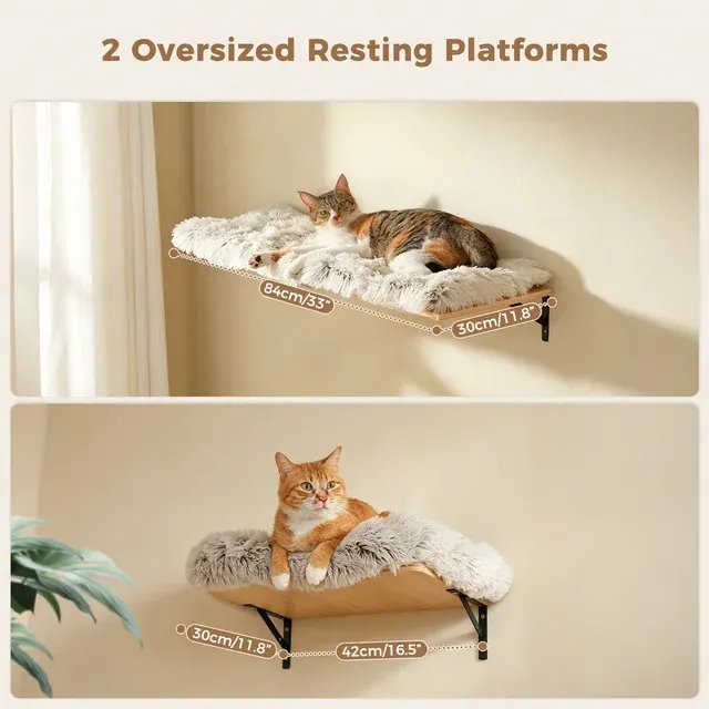 Katzen-Kletterwand-Regal 4