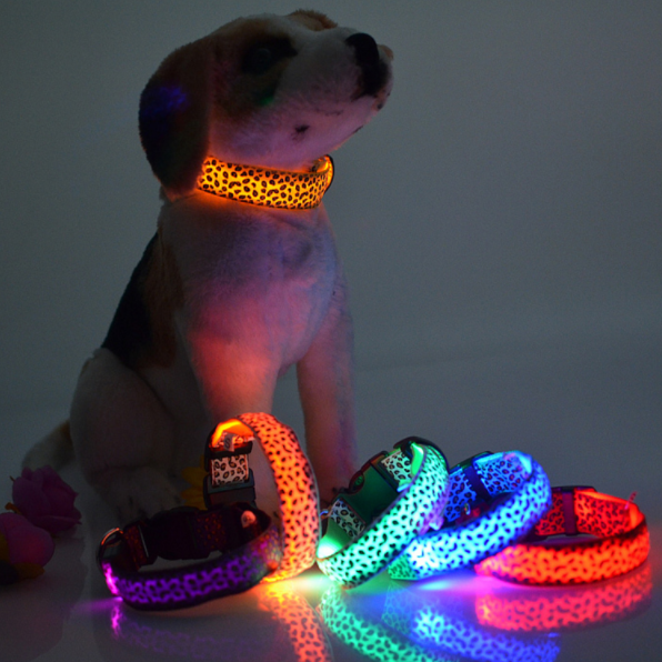 LED Nylon Hundehalsband USB Wiederaufladbar