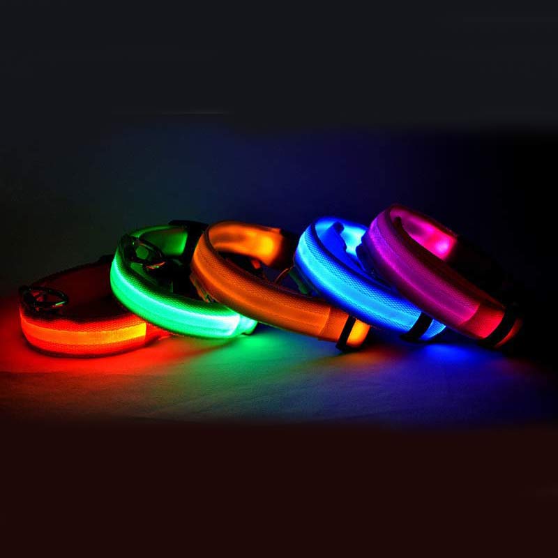 LED Nylon Hundehalsband Leuchtend Verstellbar