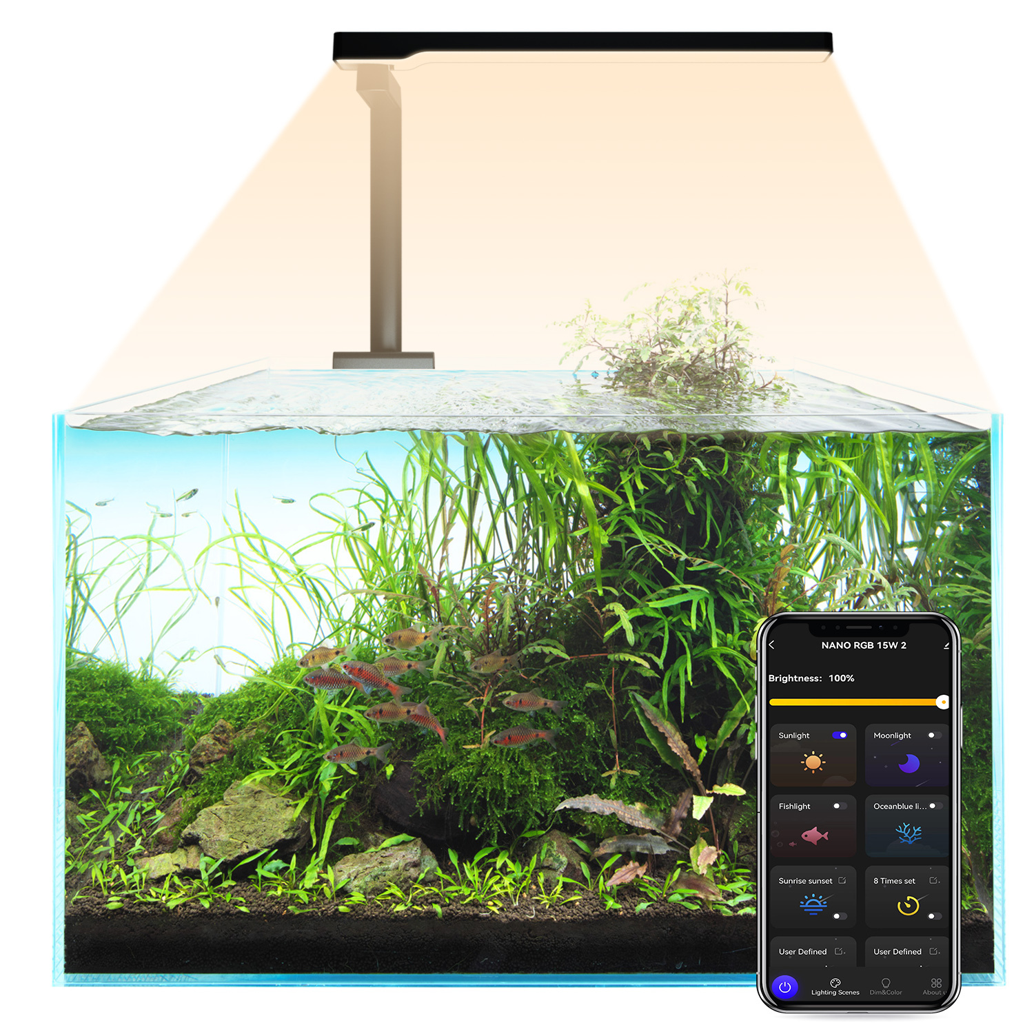 Aquarienlicht 3