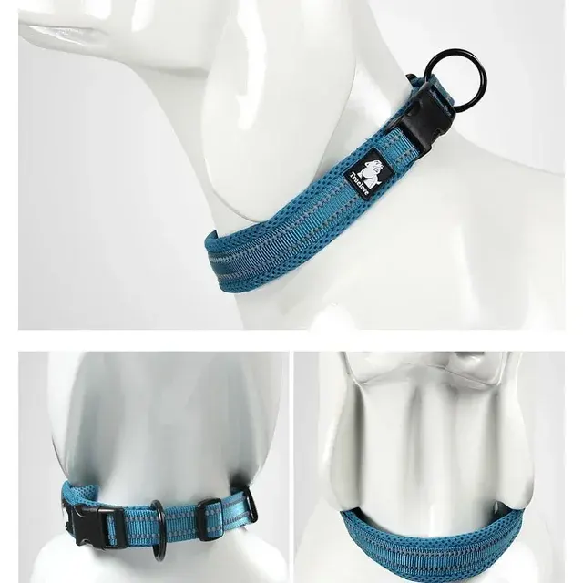 Hundehalsband 2
