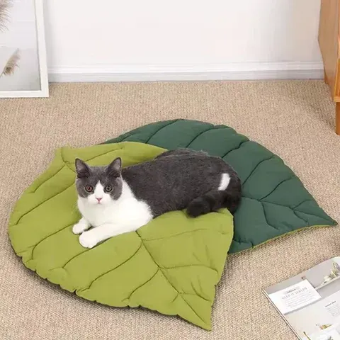 Katzenbettmatte