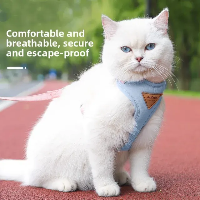 Cat Harness 2