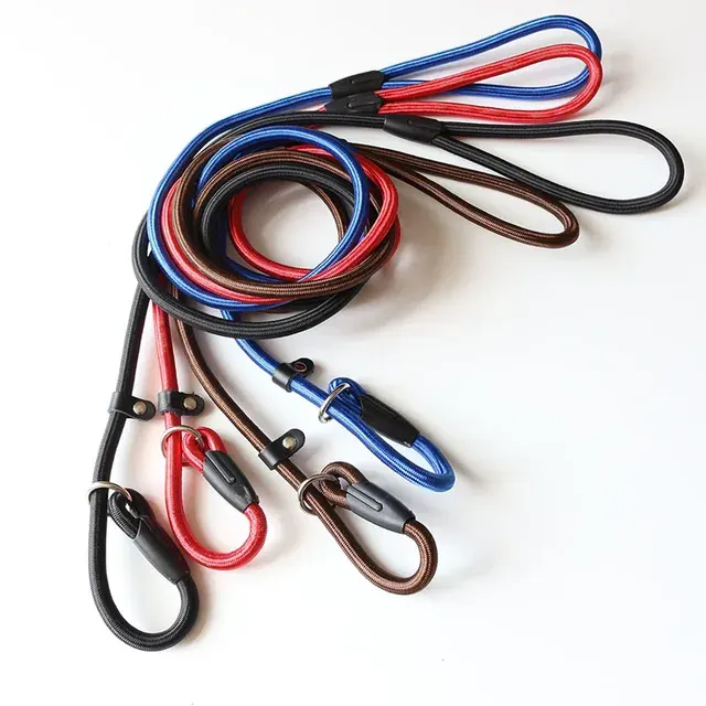 Dog Leash 2