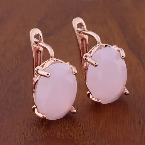 Oval Ear Clips