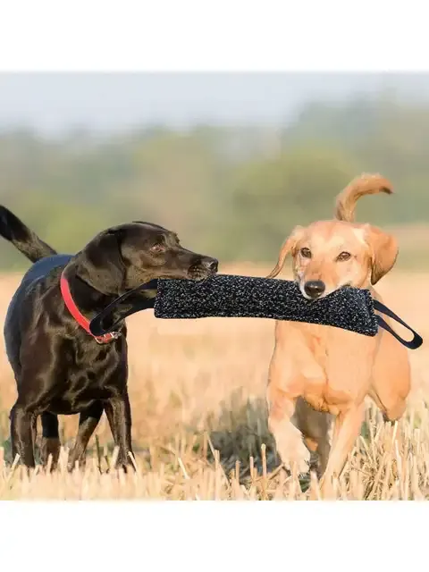 Dog Training Bite Stick 2
