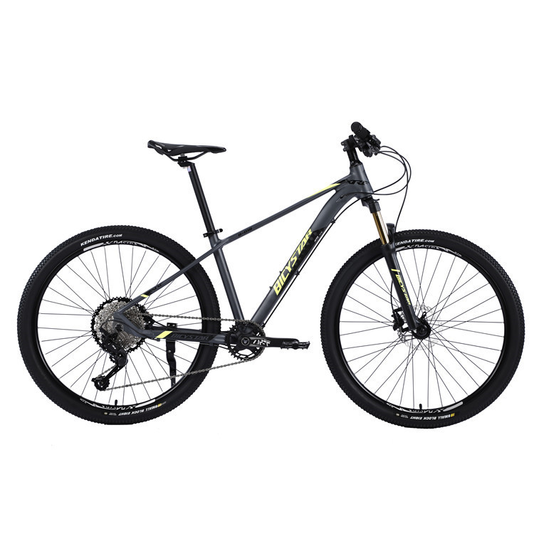 Bicystar Made Alloy Mountain Bicycles 29 Inch Bicycle 2